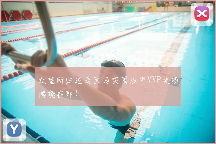 众望所归还是黑马突围法甲MVP奖项揭晓在即！