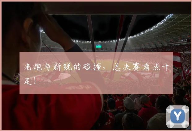 老炮与新锐的碰撞，总决赛看点十足！