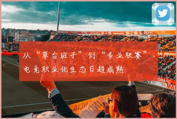 从“草台班子”到“专业联赛”，电竞职业化生态日趋成熟