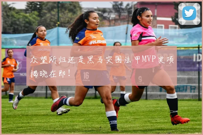众望所归还是黑马突围法甲MVP奖项揭晓在即!