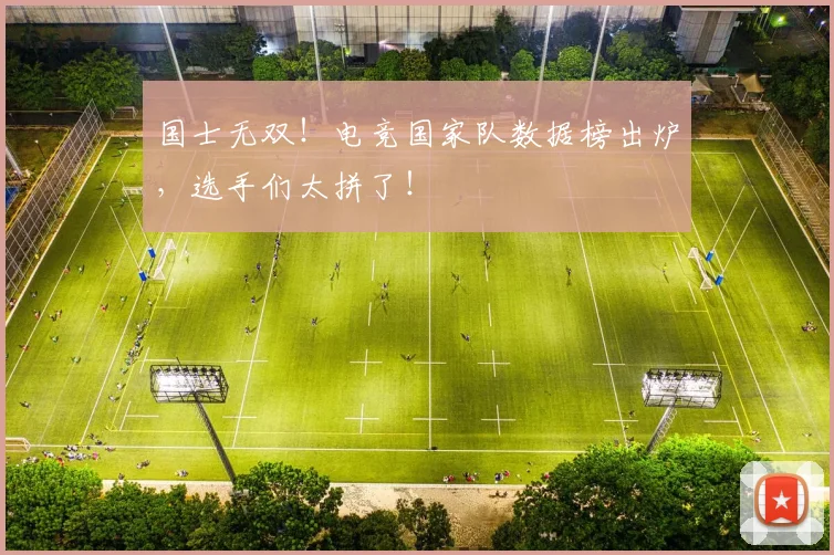 国士无双！电竞国家队数据榜出炉，选手们太拼了！