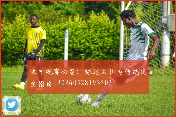 法甲观赛必备：球迷文化与传统完全指南_20260528193502